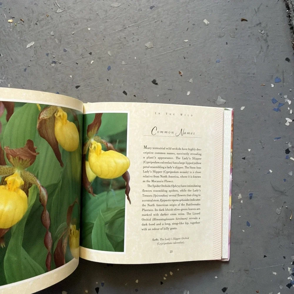 Magna Book of Orchids A Guide To Growing And Arranging Orchids David Squire Rare